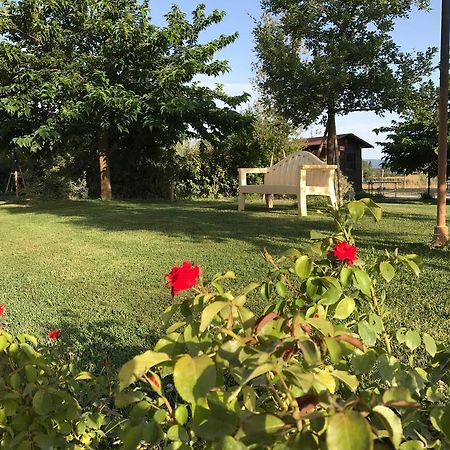 Country House Podere Le Rane Felici Fauglia Luaran gambar