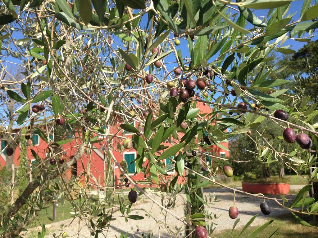 Country House Podere Le Rane Felici Fauglia Luaran gambar