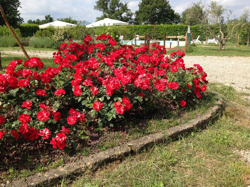 Country House Podere Le Rane Felici Fauglia Luaran gambar